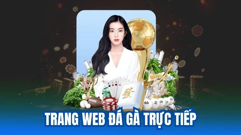 Soc88 - Trang Web Đá Gà Trực Tiếp Hot Nhất 2025